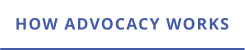 HOW ADVOCACY WORKS